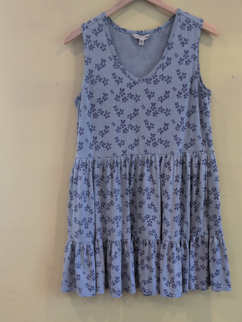 Toad&Co Light Blue Floral Tiered Sleeveless Dress
